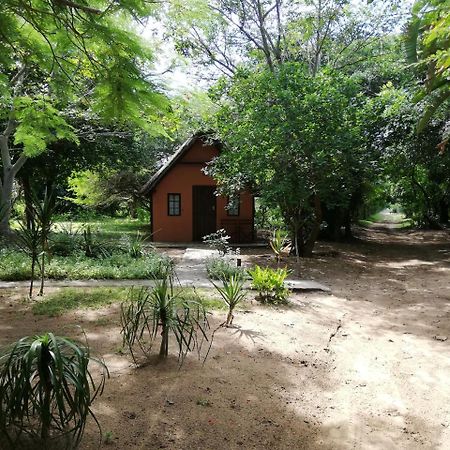 We Bushcamp & Horse Safaris Villa Hluhluwe Exterior foto
