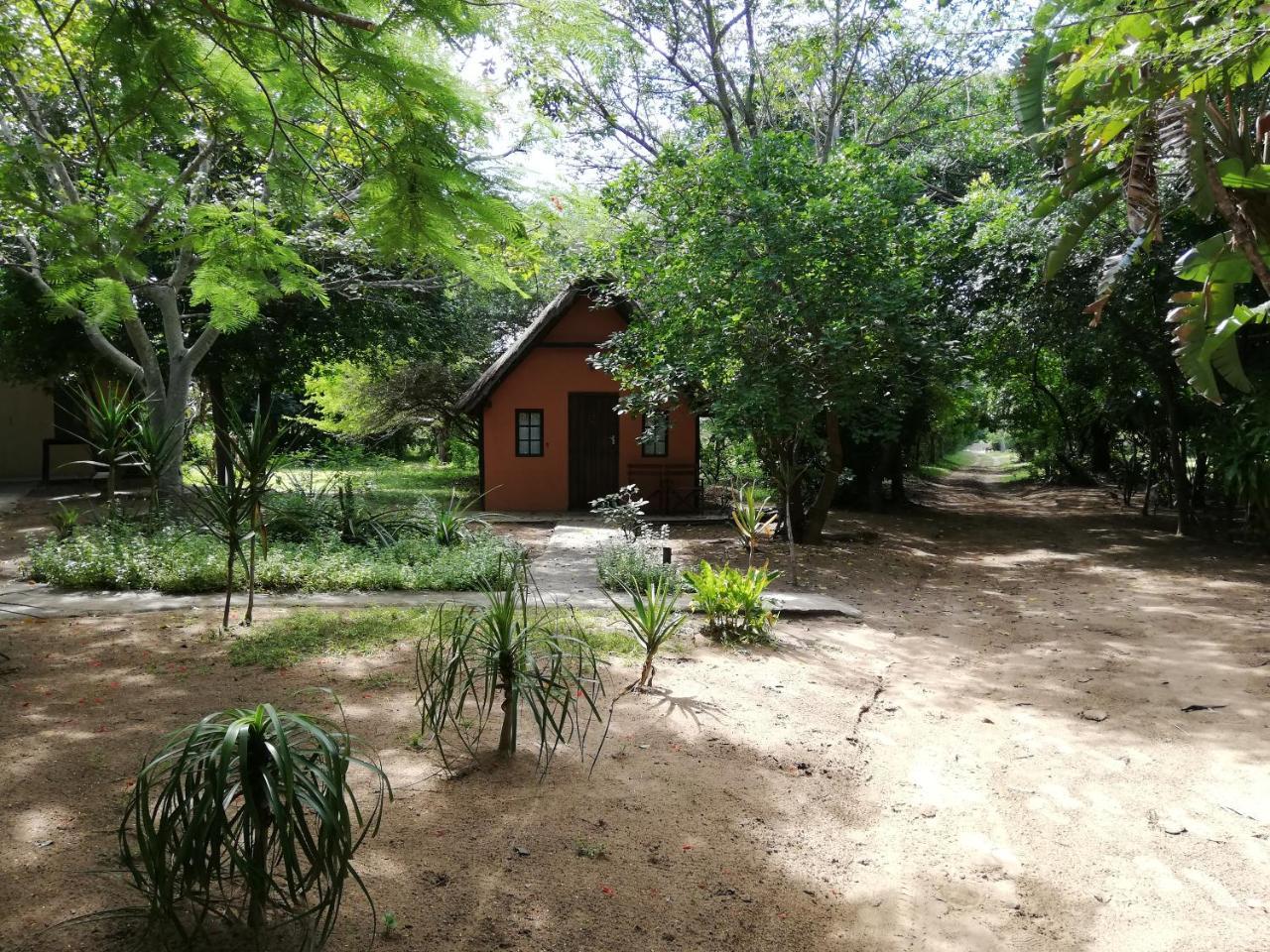 We Bushcamp & Horse Safaris Villa Hluhluwe Exterior foto