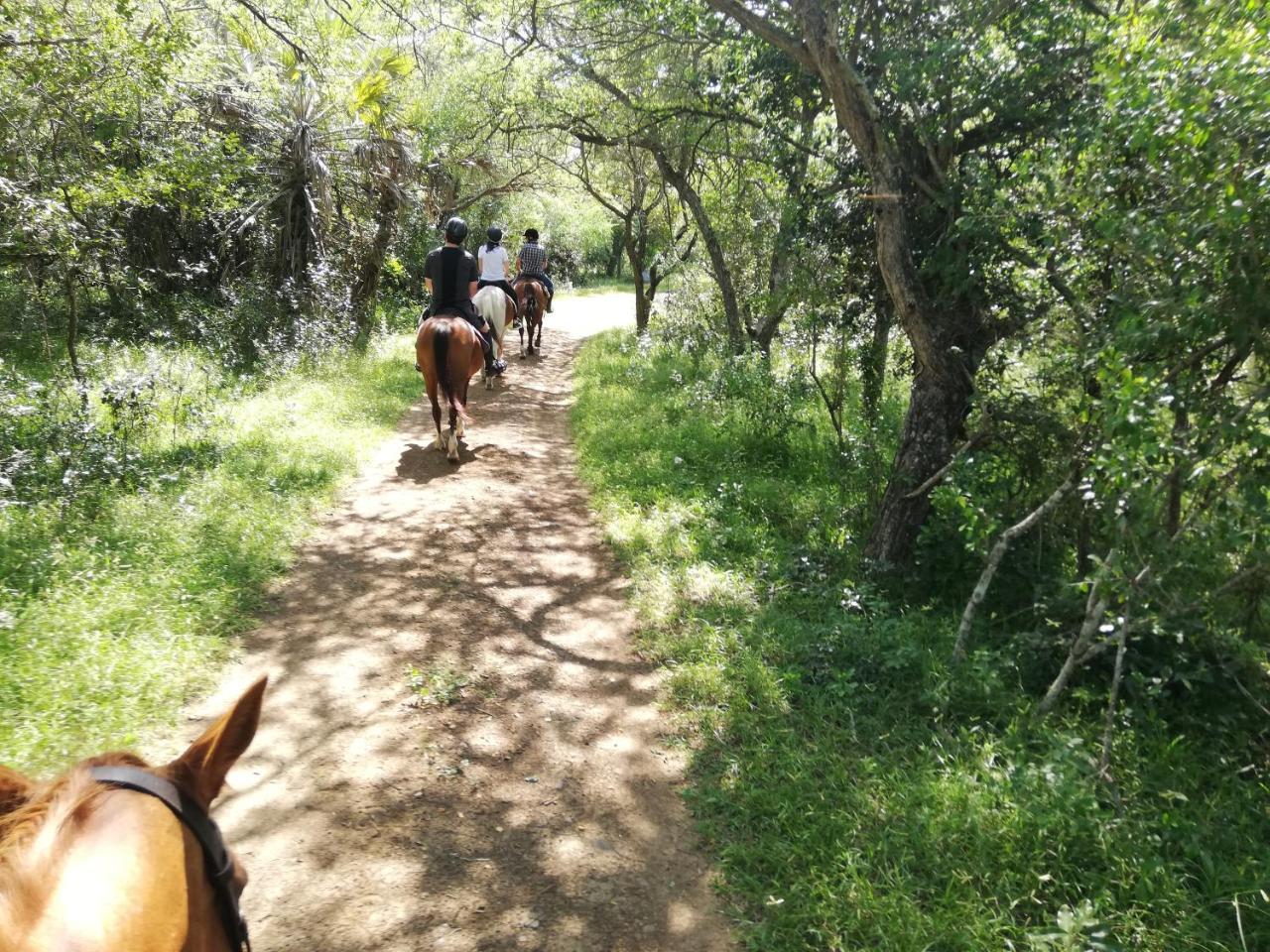We Bushcamp & Horse Safaris Villa Hluhluwe Exterior foto