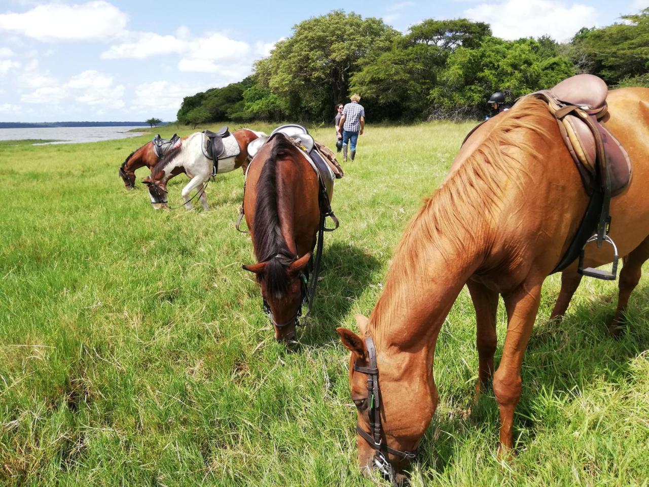 We Bushcamp & Horse Safaris Villa Hluhluwe Exterior foto