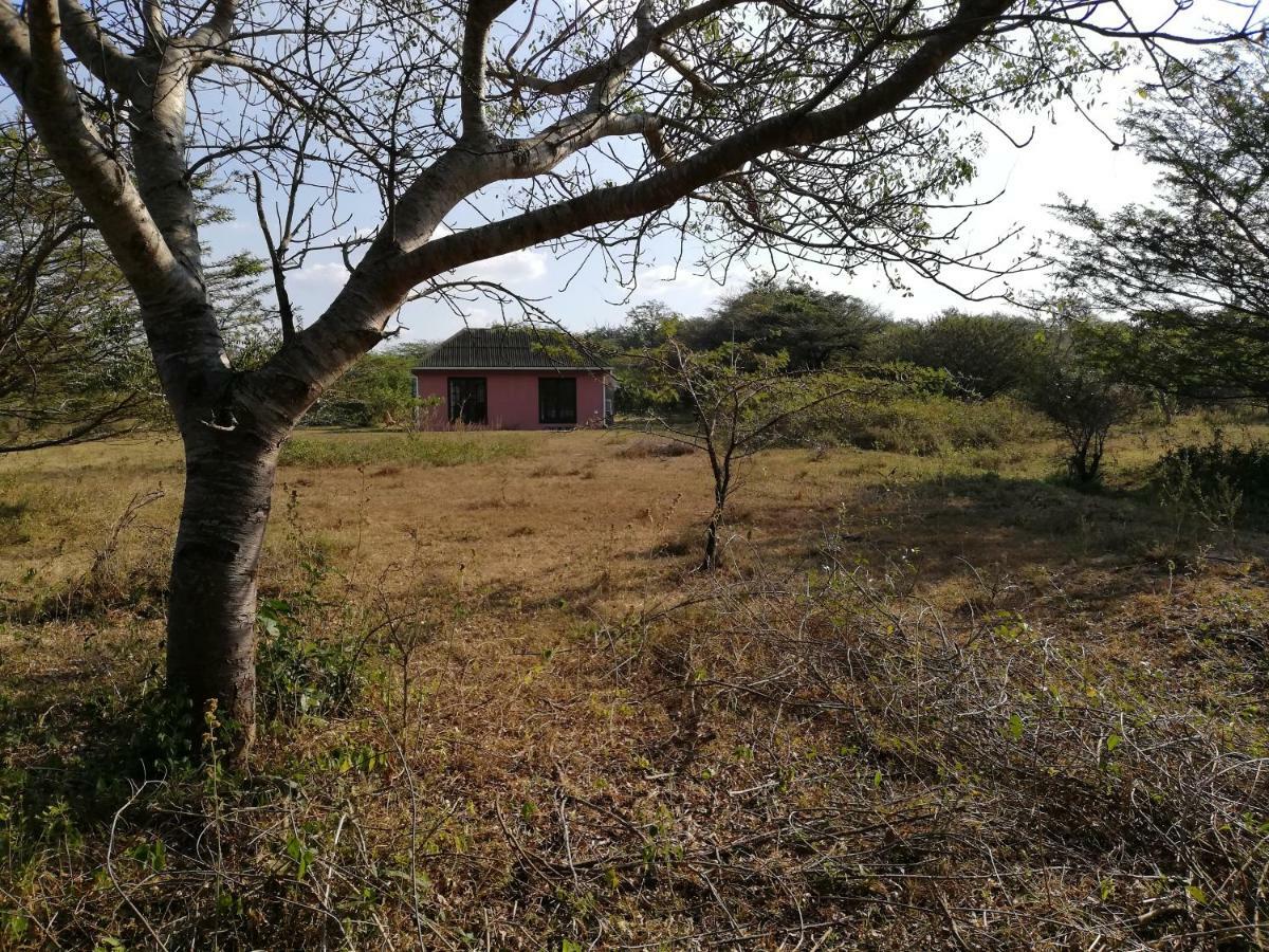 We Bushcamp & Horse Safaris Villa Hluhluwe Exterior foto