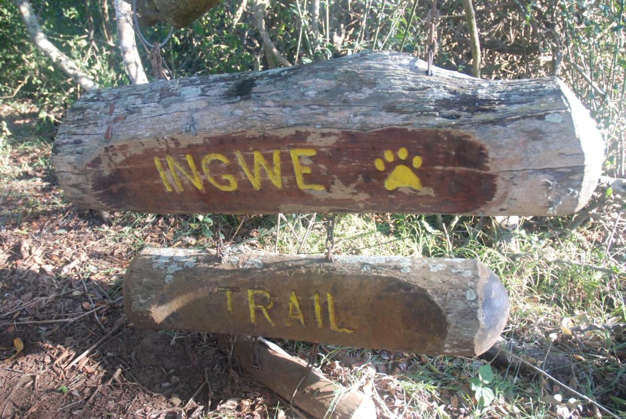We Bushcamp & Horse Safaris Villa Hluhluwe Exterior foto
