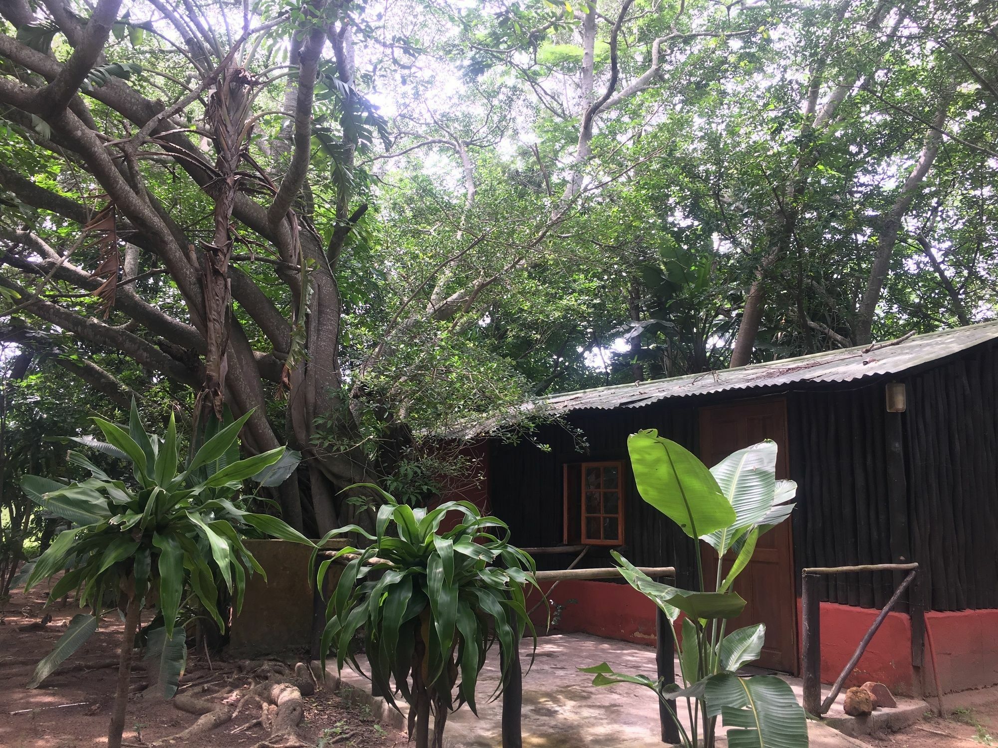 We Bushcamp & Horse Safaris Villa Hluhluwe Exterior foto