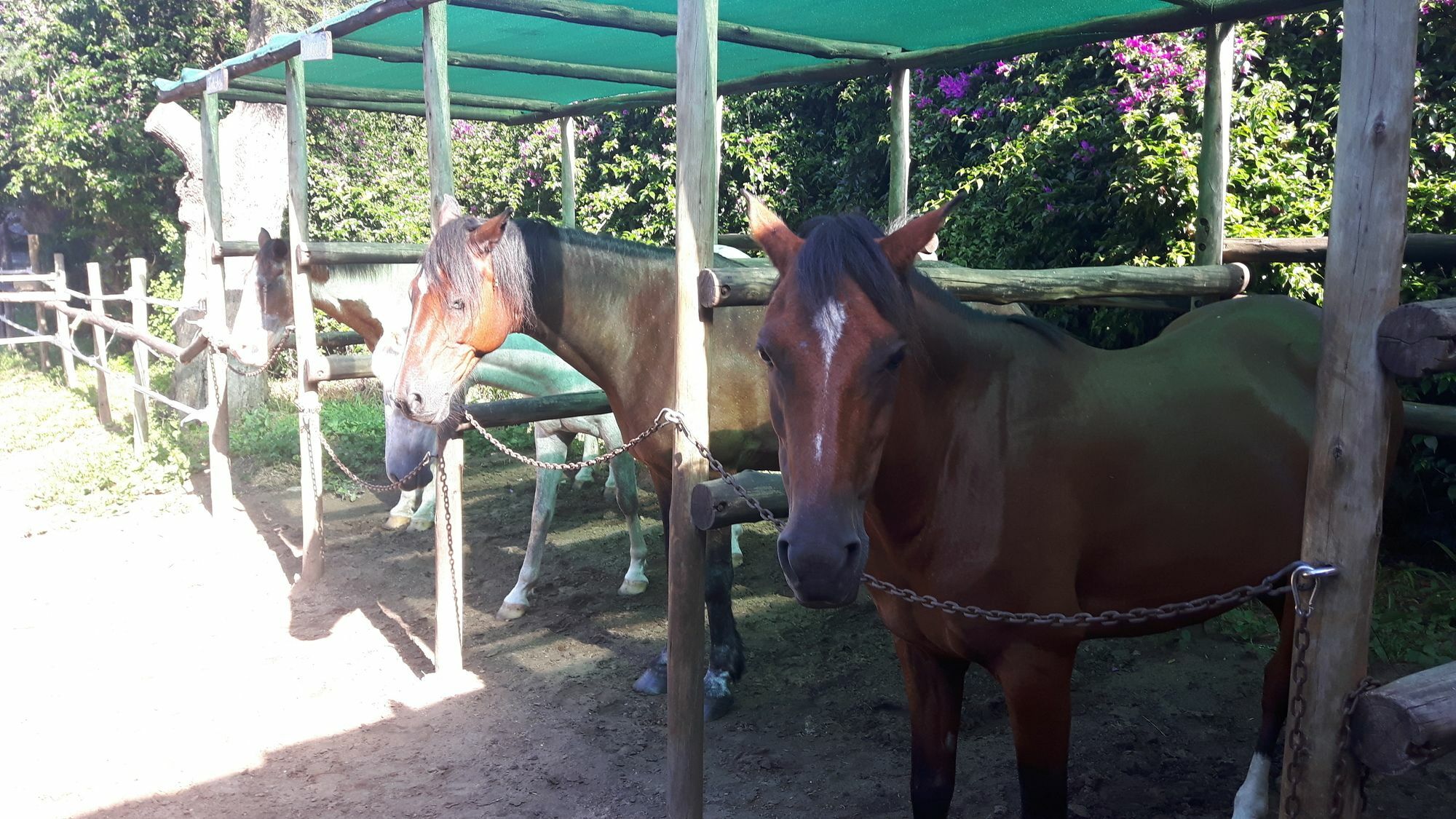 We Bushcamp & Horse Safaris Villa Hluhluwe Exterior foto