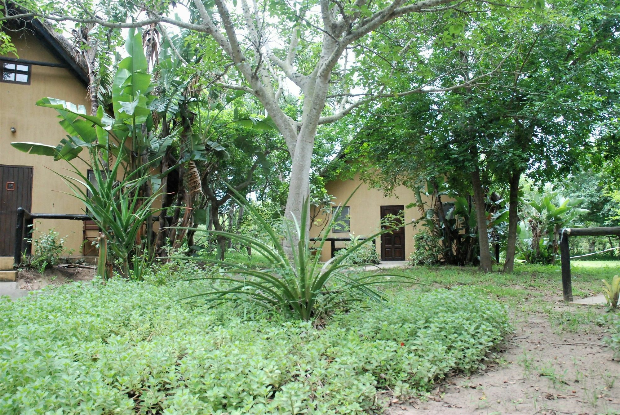 We Bushcamp & Horse Safaris Villa Hluhluwe Exterior foto